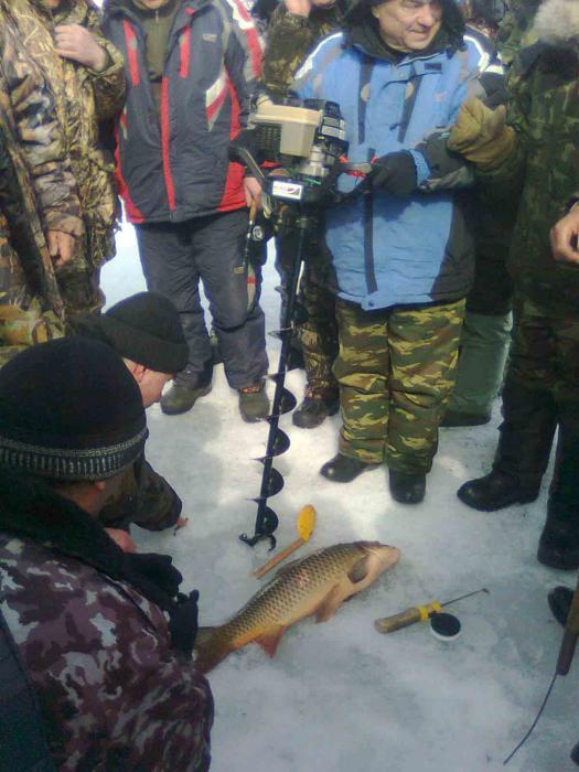 Спирино, 03.04.2011 итого