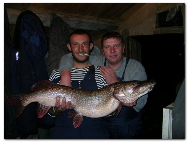 Колпашево. Кеть. КасМастер. Виброхвост. Осень 2010.