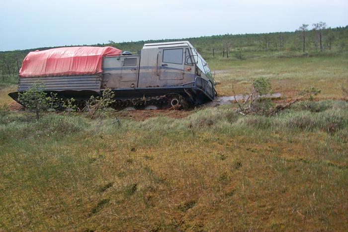 танки грязи небоятся