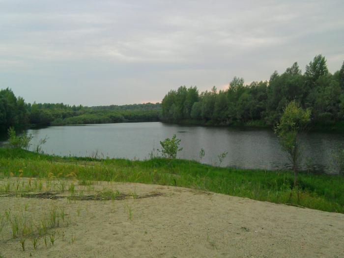 Лагуна 