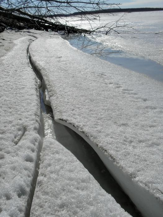 Весна 2011. Молчаново, Обь 
