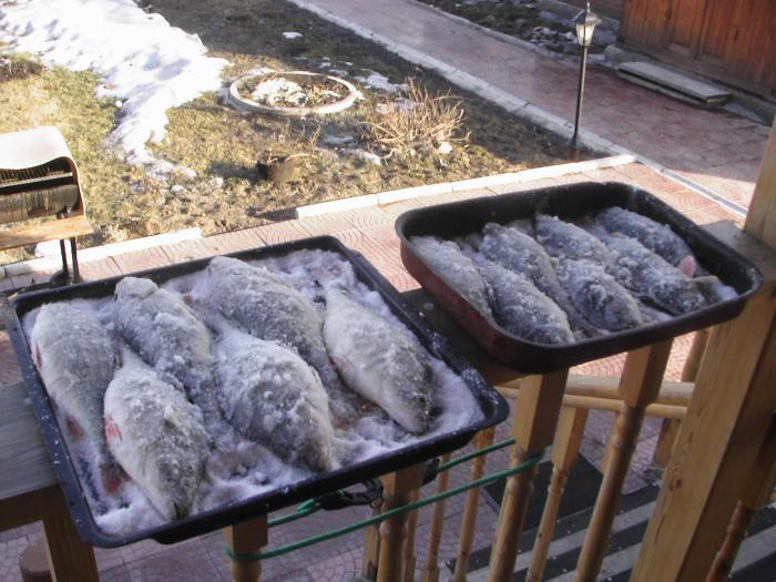 Часть улова в процессе обработки.