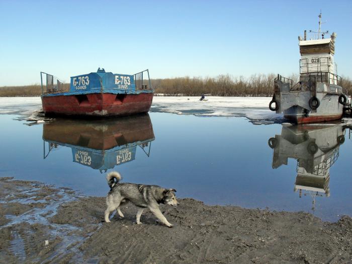Обь. Молчаново. 13.04.11.