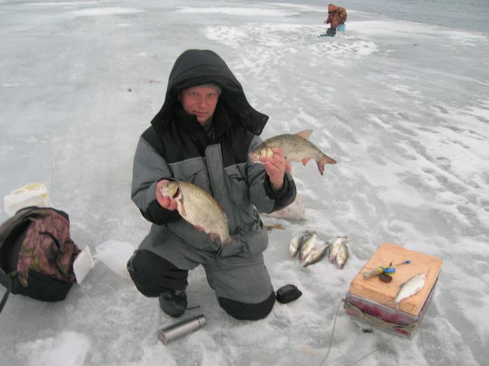 Сорога на мормыху :)