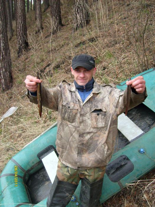 угорь.Первый раз вижу в НСО такую рыбу.