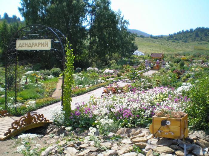 Алтай