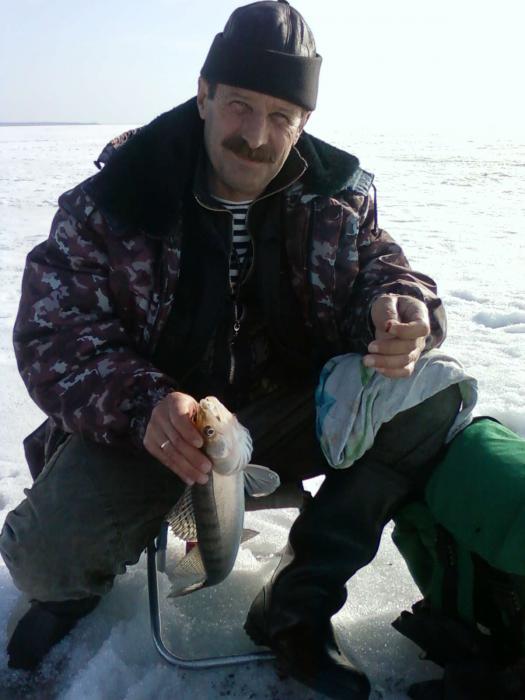 На мормышку под Тайванью.