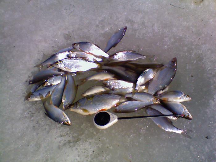 закрыл зимний сезон.