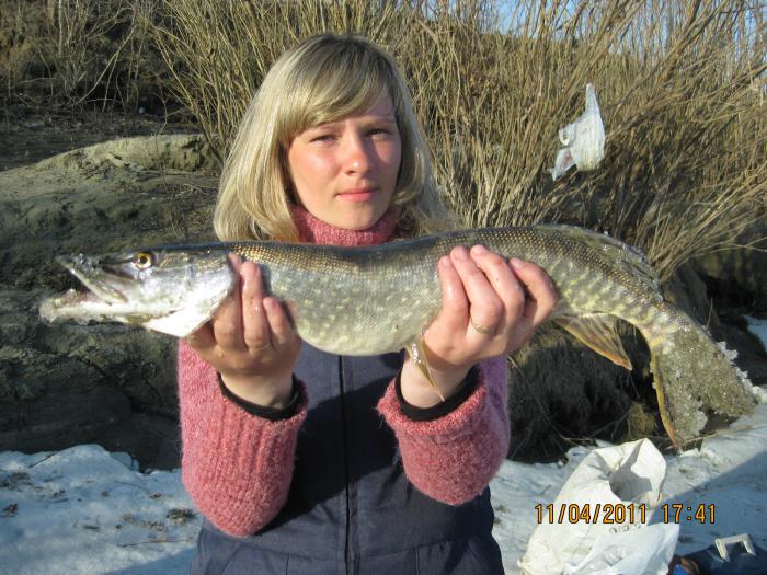 Устье Чауса
