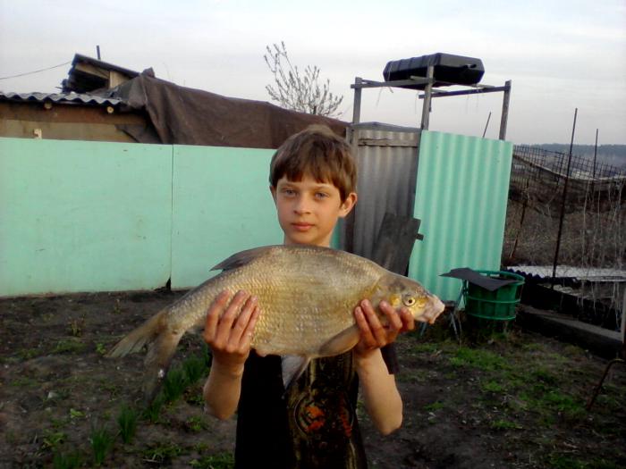 2 кг 200гр