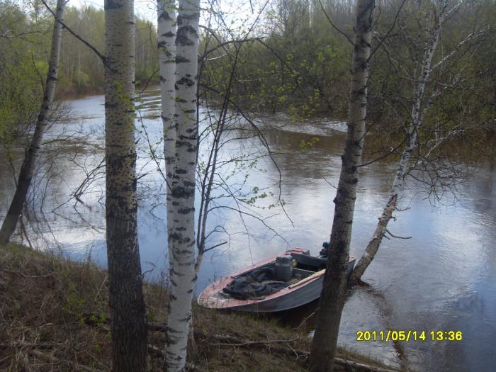 приплыли