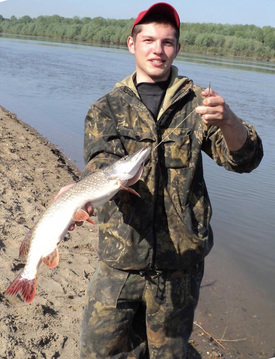 Заельцовский парк