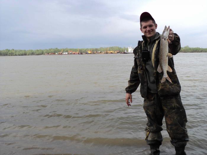 начало положено