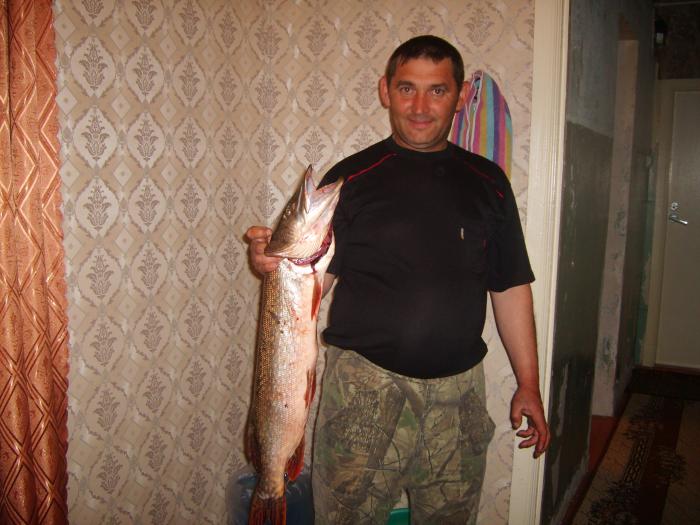 А это улов от 25.05.2011 года