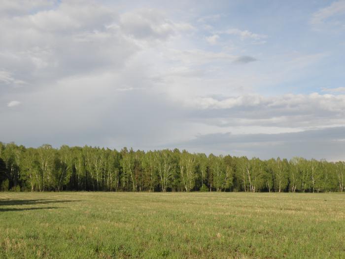 Близится гроза