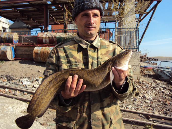 Барнаул вчера