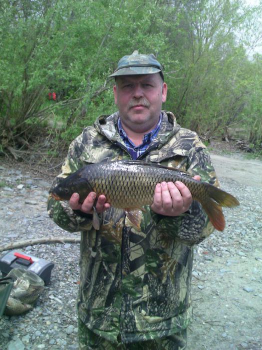 Сазанчик с ГЭСа 22.05.2011