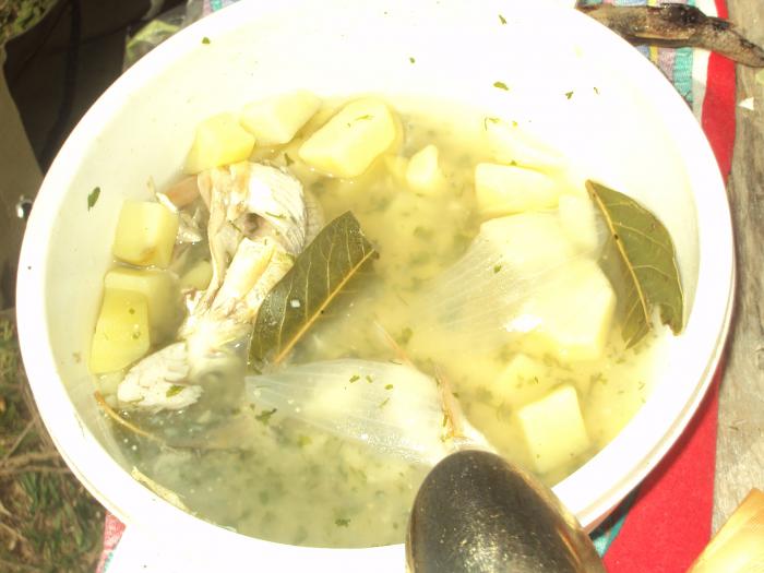 вчера на томи был хороший клёв ельца