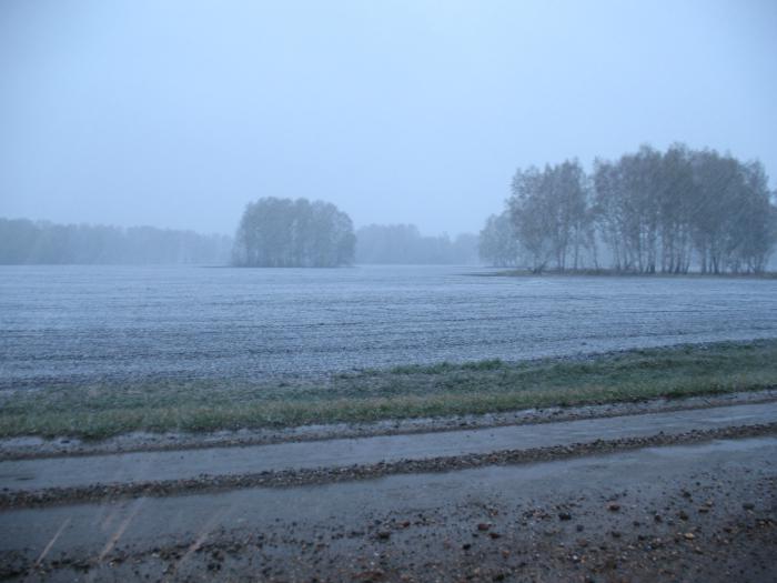 8 мая 2011 года. Ордынский район. Утро...