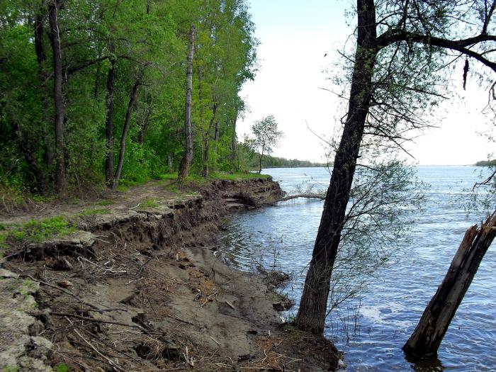 Обь, конец весны 2011.