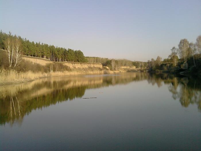 бердск.запретка