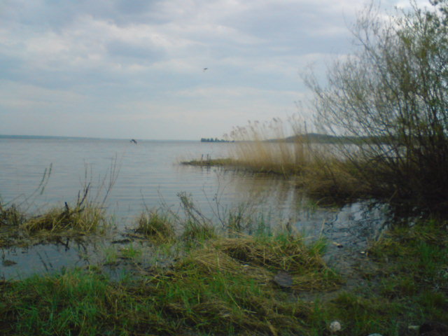 ТАНАЙ