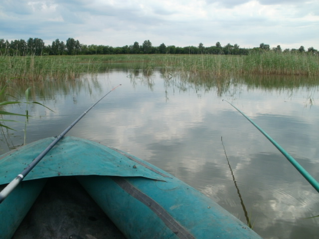 в процессе.. 