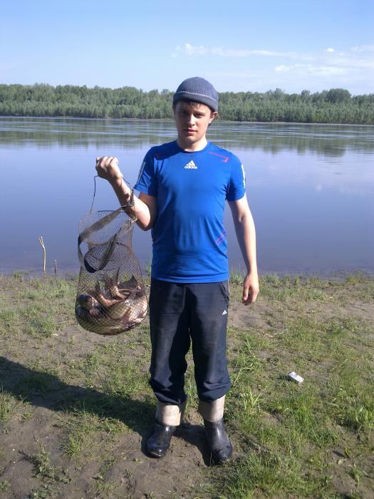 с утреца