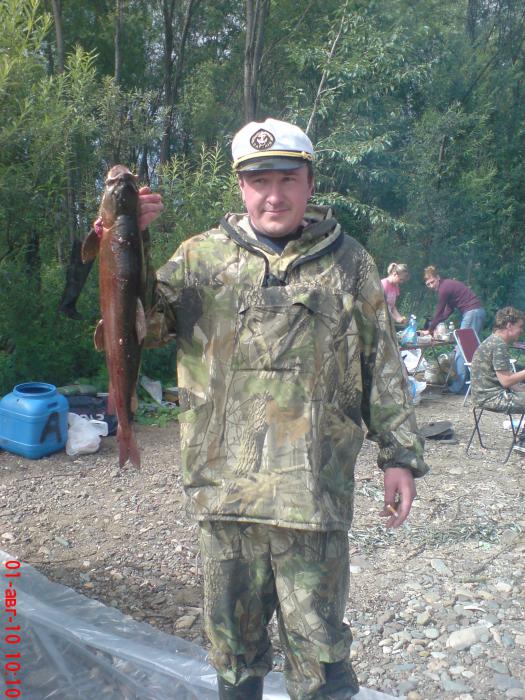 Тайдон камнем с похмелья