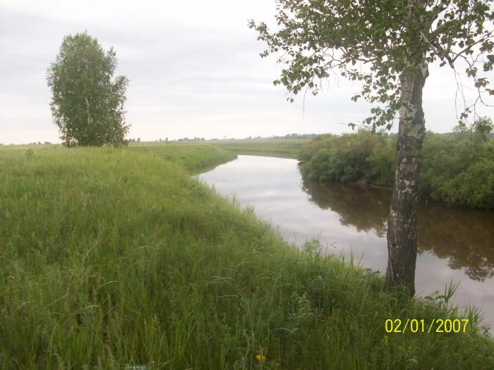 чулым