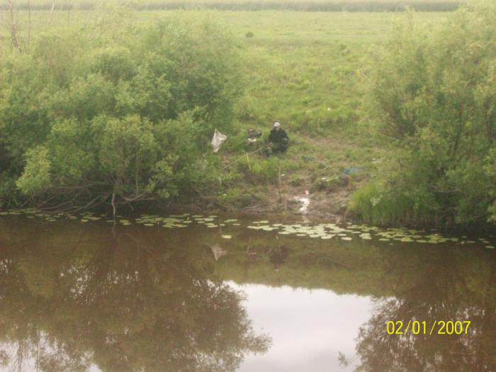 ждем сазана