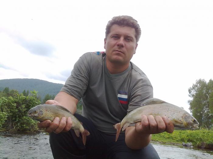 красавцы хариузки