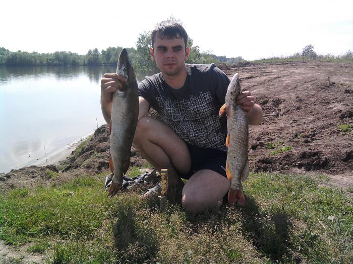 Сегодня утро, Обь.