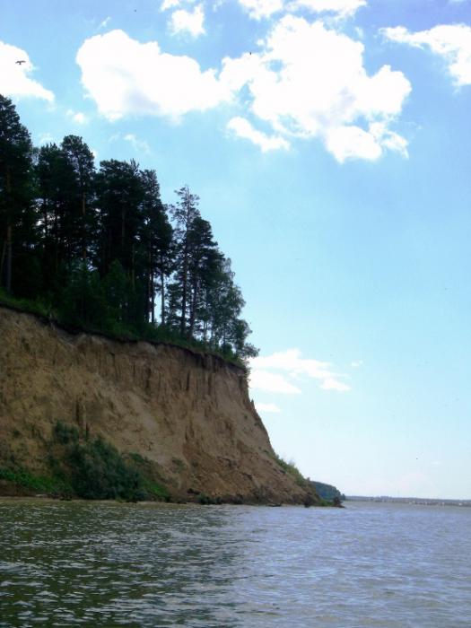 всегда на страже