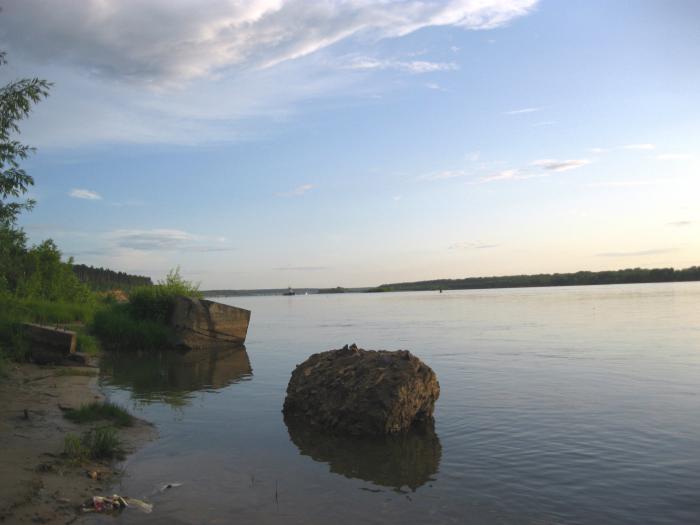 Дубровино.