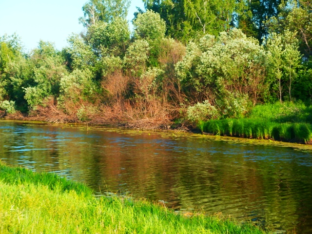 Кашлам