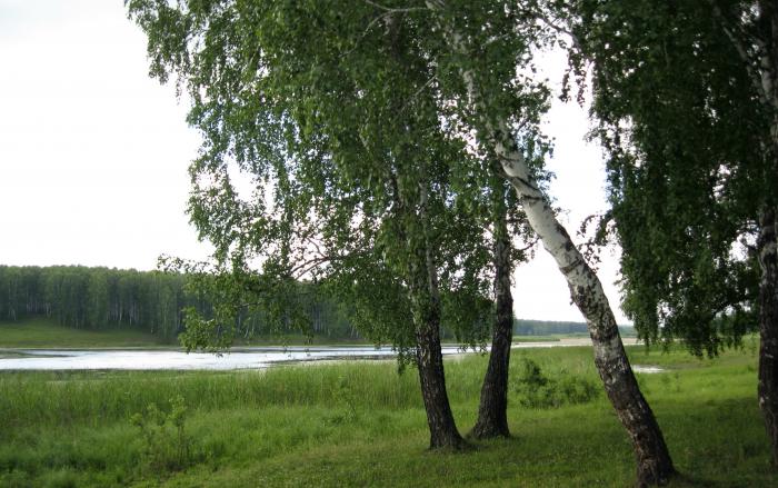 пруд п.Станционно-Ояшинский