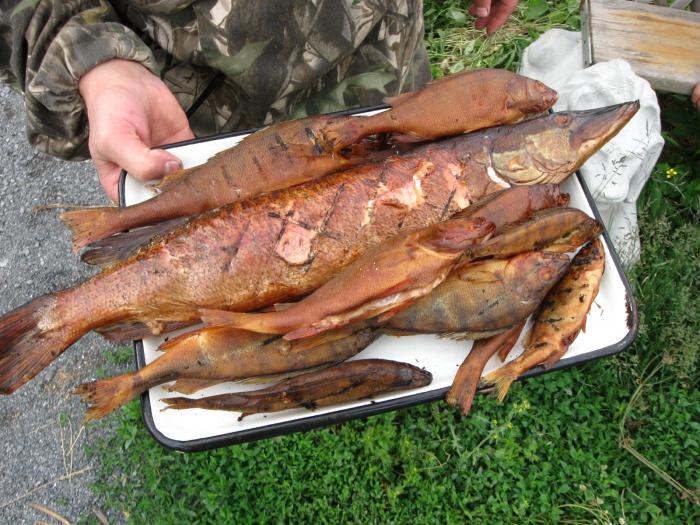 время ,пробытое в гостях у родных братьев , даром не прошло.