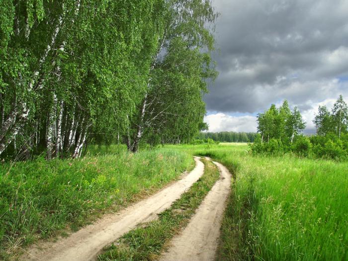 Перед дождём.
