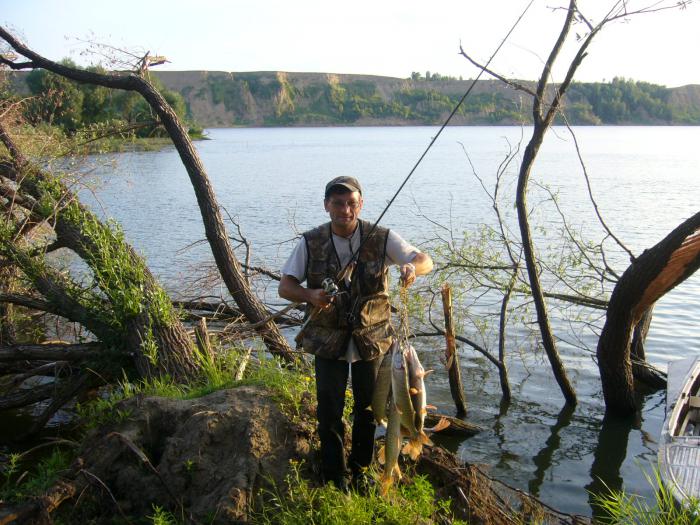 Алтайский край 