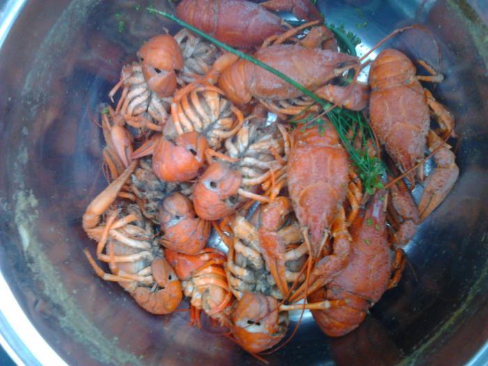 Вкусный ужин