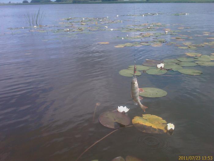 Мелочь, но приятно
