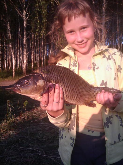 Рябчинка 23.07.2011