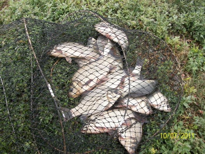 результат