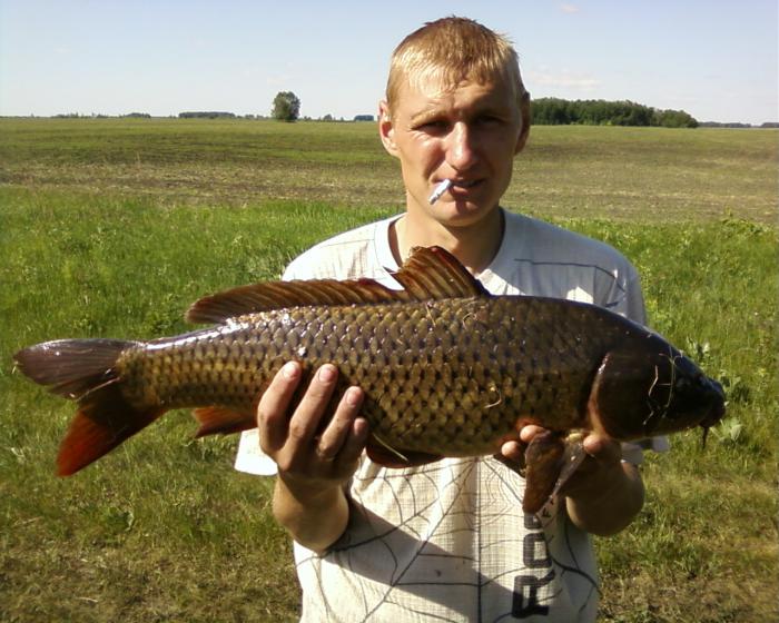 сазан 3кг