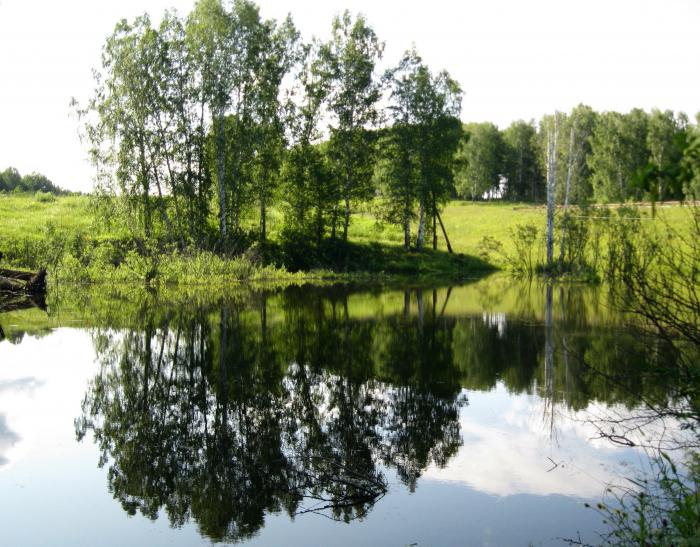 р. Мельничная