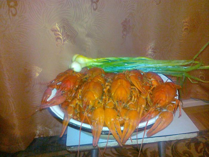 Тоже улов)))