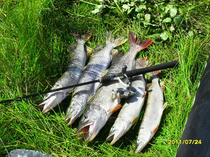 24.07.2011г. Ташара