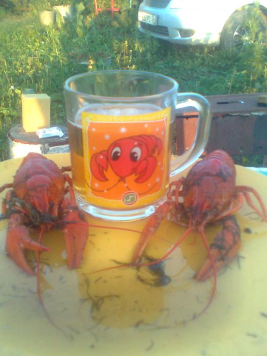 Раки