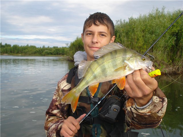 Вокуни поклевывали  весело:)